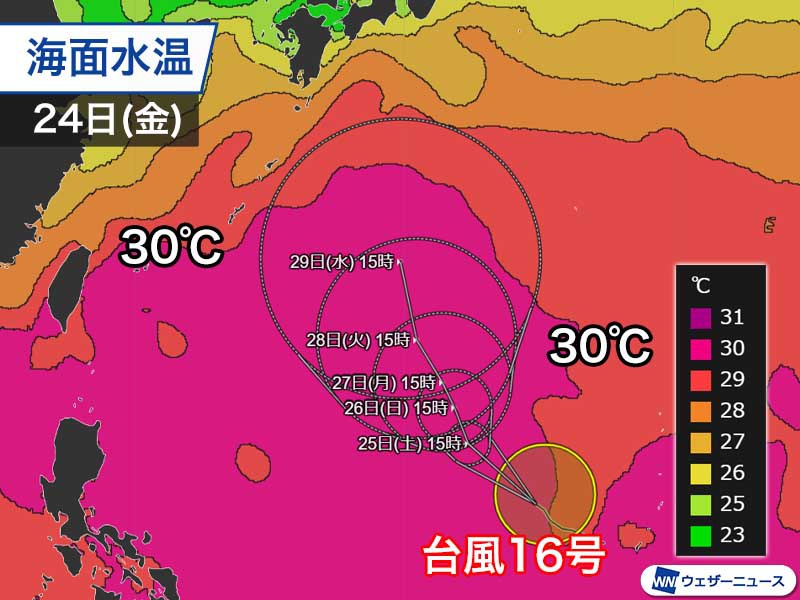 台風16号 高い海水温と風の環境が揃い発達 週明けには猛烈な勢力に 2021年の台風情報 ウェザーニュース