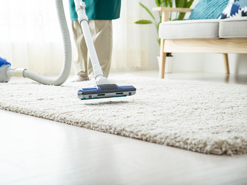 ダニアレルゲンが多い場所とは ウェザーニュース