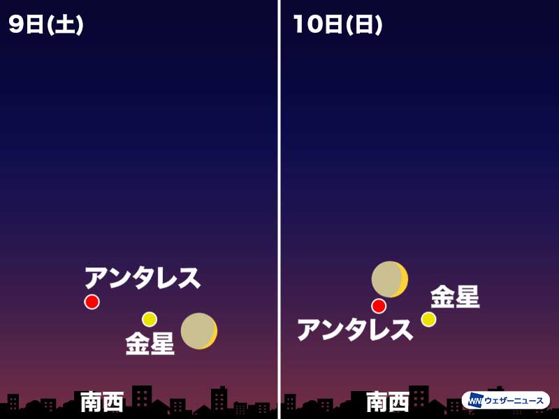 明日10日 日 にかけて細い月と金星が接近 アンタレスも 南西の空に注目 ウェザーニュース