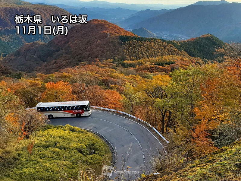 紅葉 今週末おすすめ情報 関東でも日光 いろは坂などで見頃 ウェザーニュース