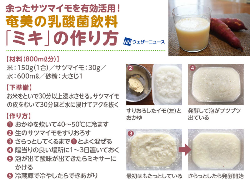 サツマイモを有効活用 奄美の乳酸菌飲料「ミキ」の作り方 - ウェザーニュース