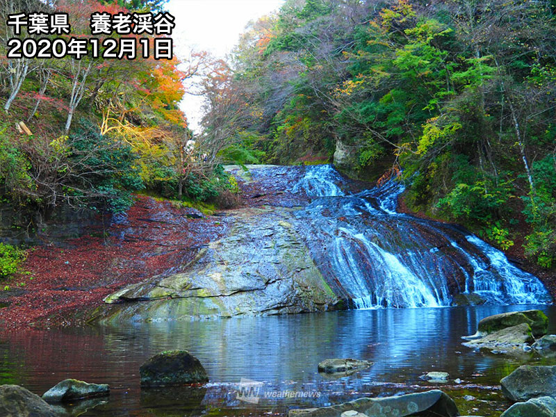 紅葉 関東の名所情報 南部では11月中旬以降見頃に ウェザーニュース