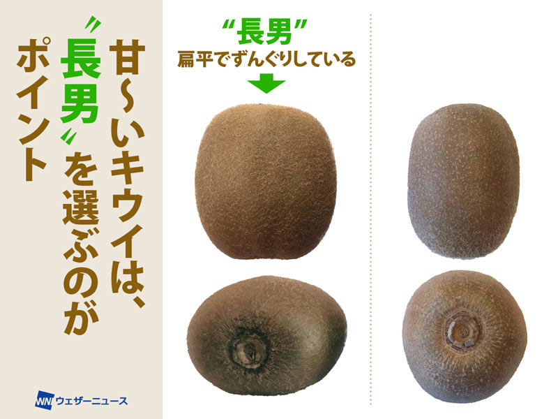 キウイ様2点 7年目にして初めての立ちポーズ！毎年、SNSで話題沸騰の【数量限定