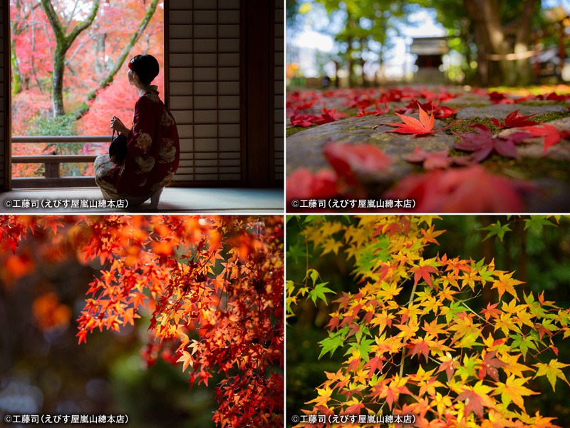 紅葉の写真を美しく撮る5つのポイント 京都 嵐山の人力車夫に 紅葉の写真を美しく撮る5つのポイント 京都 嵐山の人力車夫に