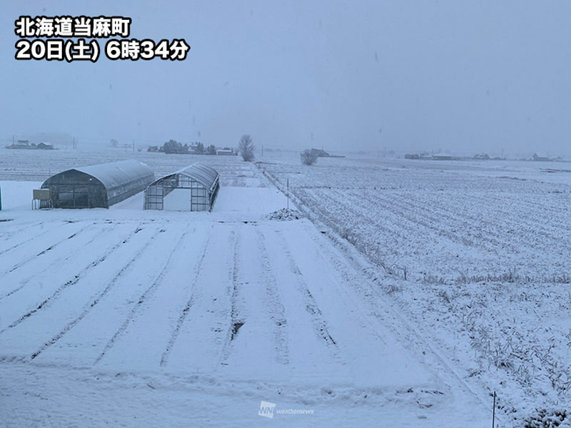 北海道の内陸で積雪 明日朝にかけて路面状況に注意 - ウェザーニュース