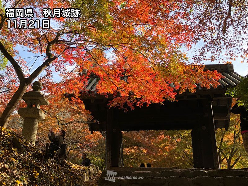 今週末おすすめの紅葉情報 清水寺は1000本超のもみじが染まる ウェザーニュース