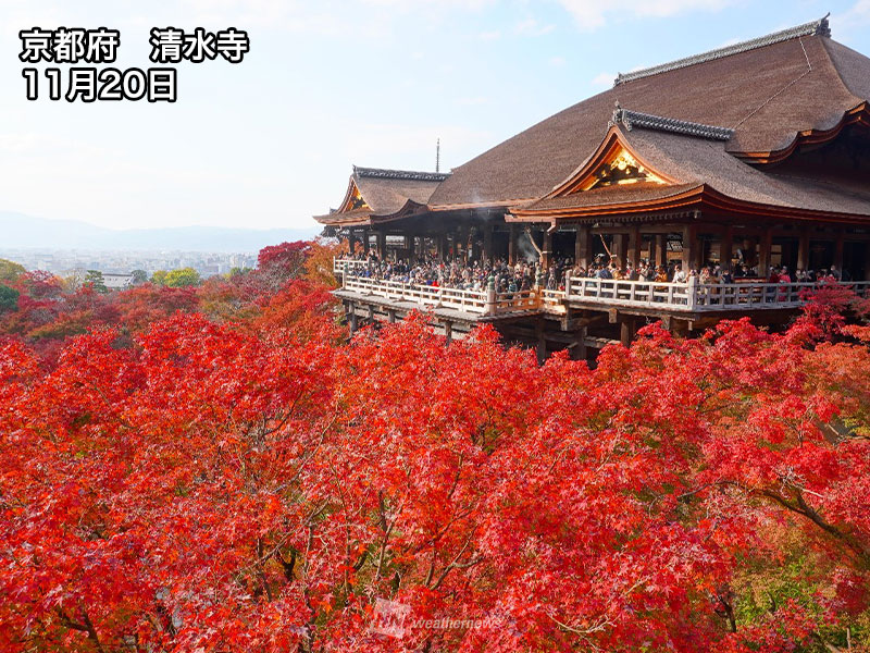 今週末おすすめの紅葉情報 清水寺は1000本超のもみじが染まる 