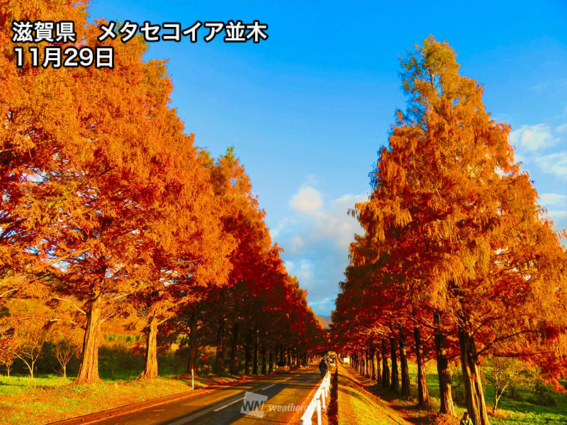 今週末おすすめの紅葉情報 12月でも見頃のスポットを紹介 ウェザーニュース