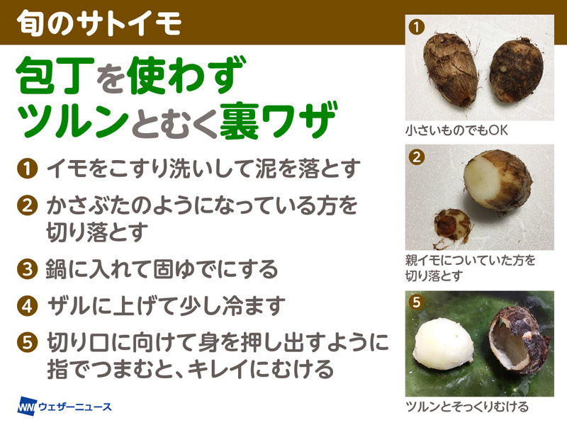 サトイモ様ご確認用 サトイモ様ご確認用