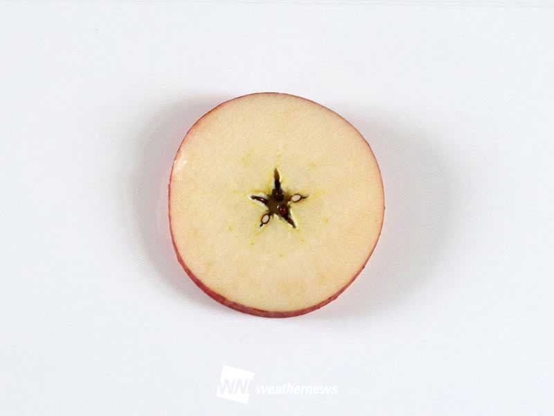 りんごの切り方 スターカット 皮ごと食べやすく栄養も ウェザーニュース