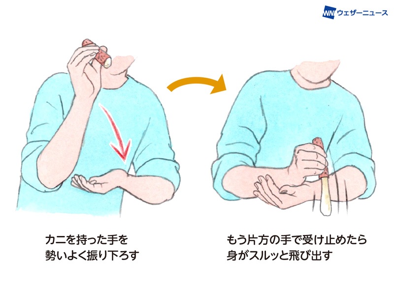 カニを簡単 きれいに食べるコツ 折る場所と折り方が決め手 ウェザーニュース