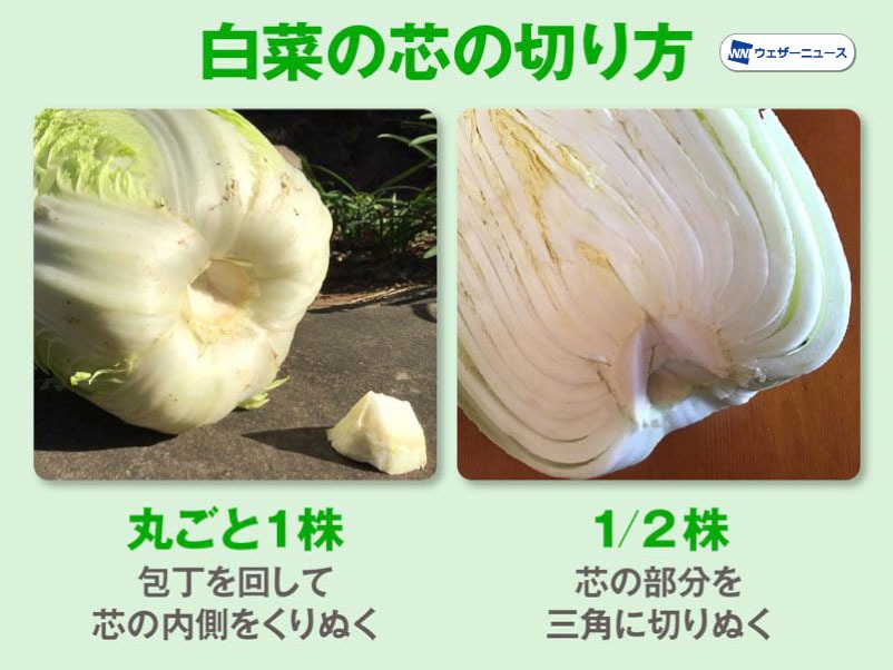 白菜をおいしく保存するコツは ウェザーニュース