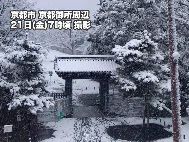 京都市で積雪11cmと今季最大の積雪に スリップや転倒に注意 ウェザーニュース