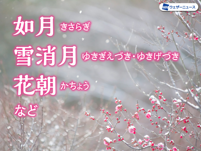 春の喜びが感じられる呼称が多い 2月の呼称一覧 ウェザーニュース