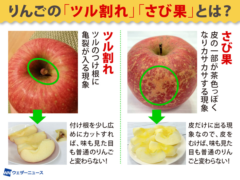 ツル割れ さび果 は食べても大丈夫 訳ありりんご の秘密 ウェザーニュース