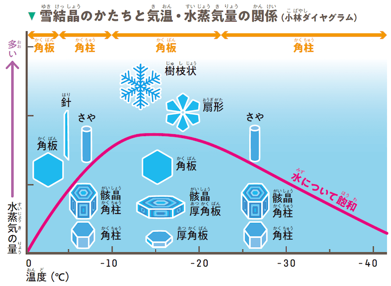 天から送られた手紙 雪の結晶から関東の雪を読み解く ウェザーニュース