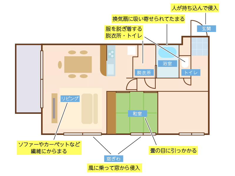 花粉の季節のお掃除 基本4か条 ウェザーニュース