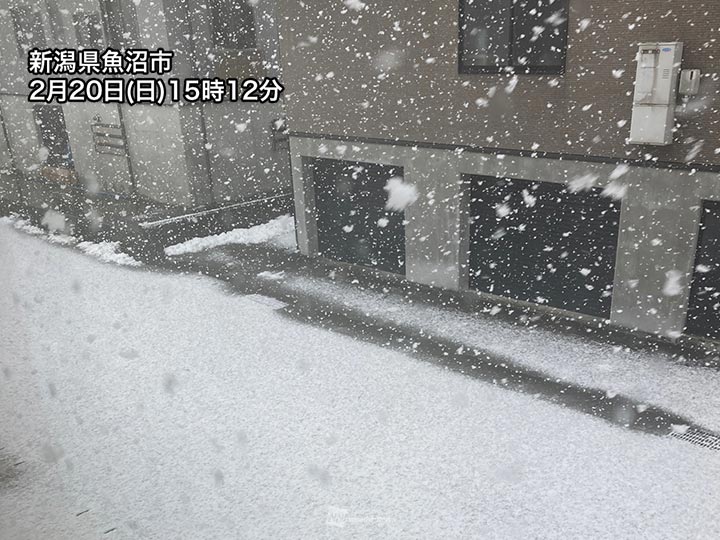北海道の雪 hq720.jpg?sqp=-