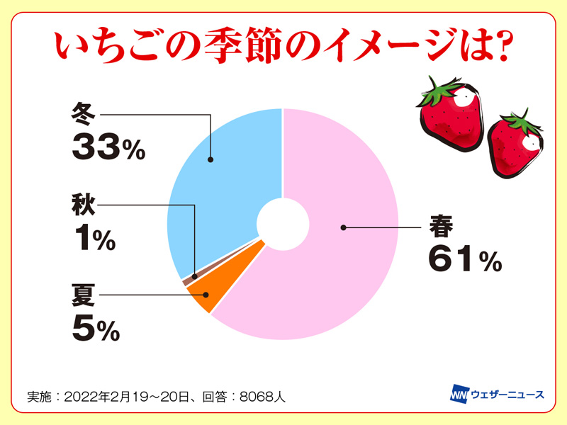 冬に採れるいちごが甘い理由 ウェザーニュース