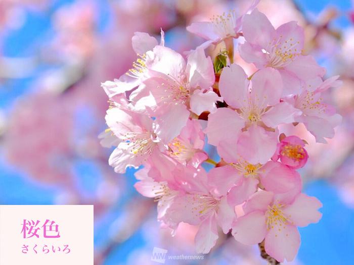 草木花　歳時記（春秋冬） 草木花歳時記 春の巻 | 朝日新聞社 |本 | 通販 | Amazon