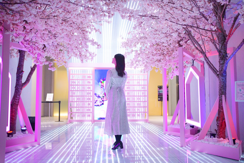 脳波でオリジナルの桜が咲く!? 超新感覚のお花見体験とは [PR