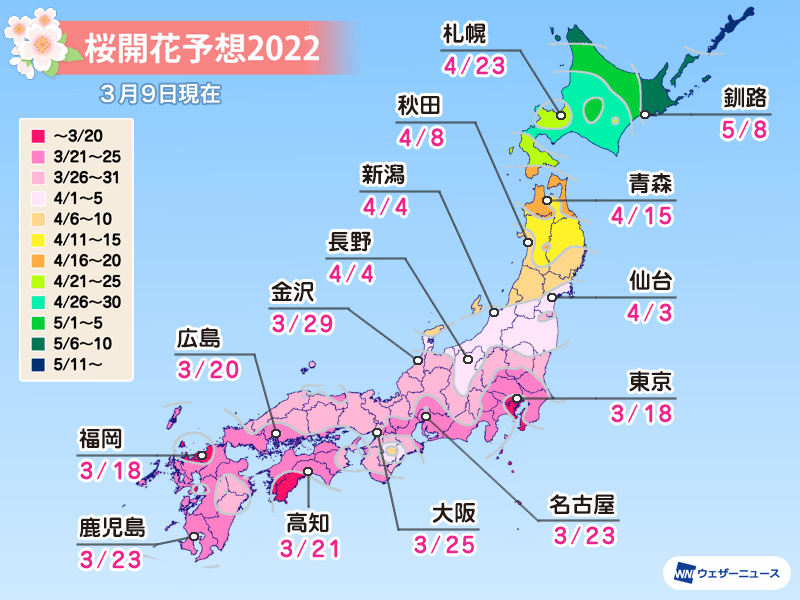 熊本 桜 開花 2022