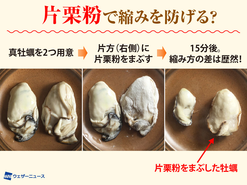 牡蠣 カキ を加熱するときの裏ワザ ウェザーニュース