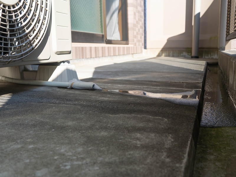 いつの間にか発生するコバエ ゴキブリ アリ 今できる対策 ウェザーニュース