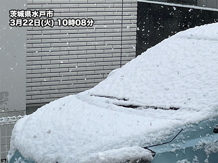 関東で冷たい雨 午後は東京も雪まじることも 北関東や甲信では積雪 ウェザーニュース