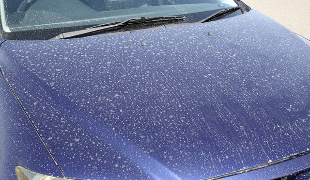 車についた花粉には お湯 が効く ウェザーニュース