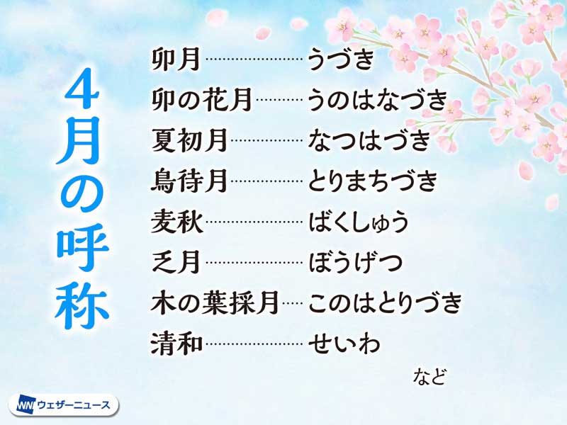 卯月☆様：リピーター割 偏光箔押し（トラストカラー箔）フェア | 同人誌印刷の緑陽社