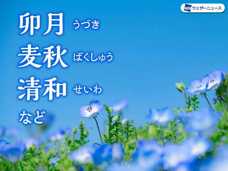 いくつ知っていますか 卯月 以外にもたくさんある 4月の呼称一覧 ウェザーニュース