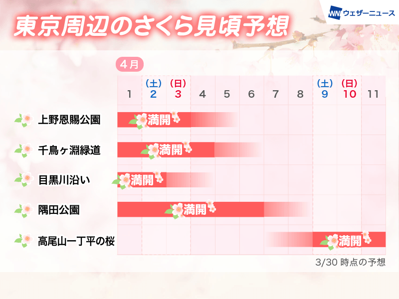 今週末は桜満開 東京周辺のさくら見頃予想 来週には散り始め