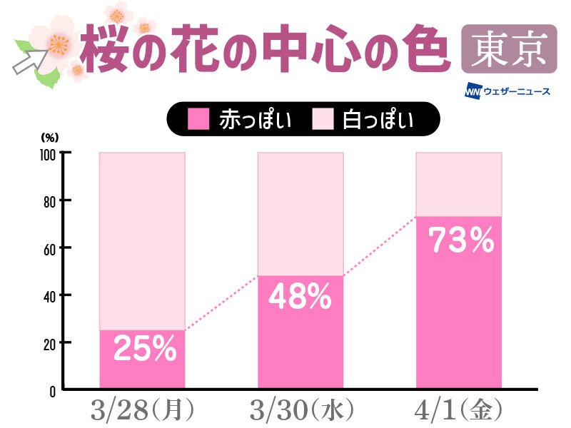 桜の花に 散り始めサイン が出現中 東京は早くも桜吹雪に ウェザーニュース