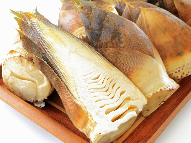 根付 竹の子に止まりバッタを見つめる猿の姿をしている根付 竹