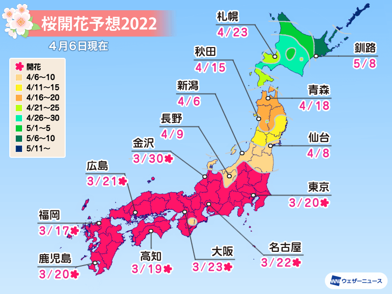 桜開花予想22 東京や大阪では見納め 来週は東北北部で開花始まる ウェザーニュース