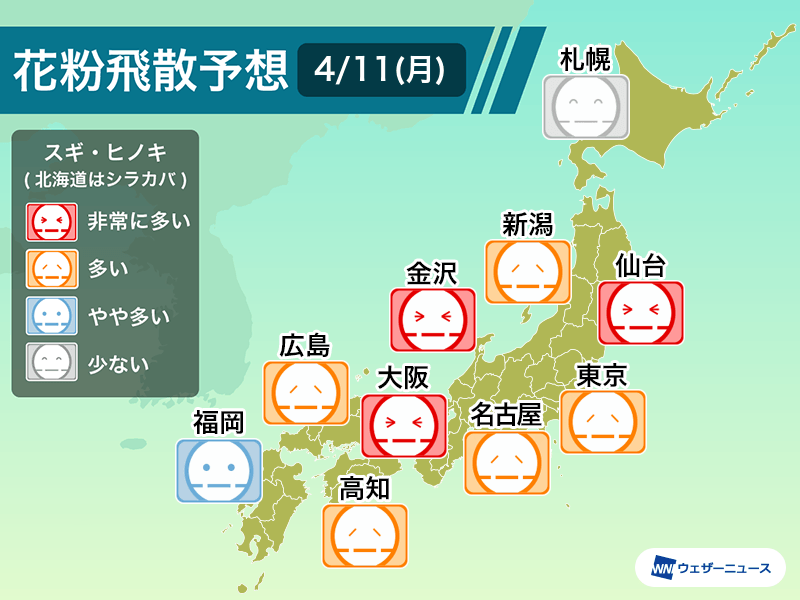 4月11日(月)の花粉飛散予想 仙台や大阪で「非常に多い」予想