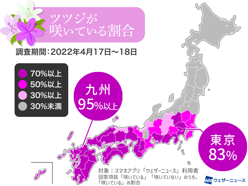 関東でもツツジが見頃 東京は一気に開花し8割超に ウェザーニュース