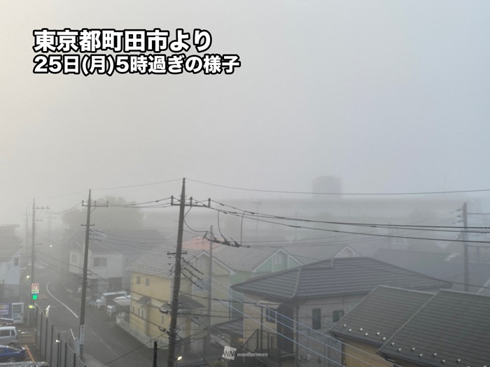 関東から九州にかけて広範囲で濃霧発生 視界不良に注意 ウェザーニュース