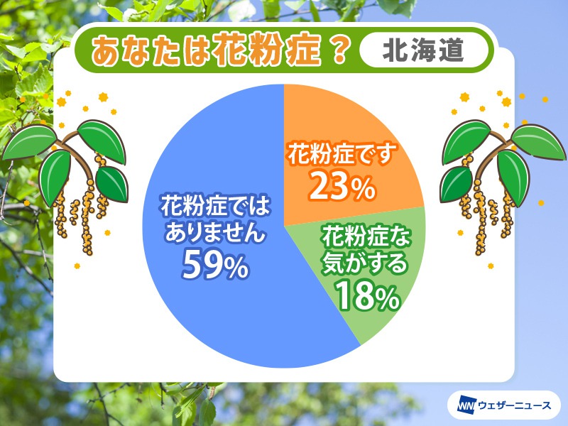 北海道 シラカバ花粉の季節に突入 約4人に1人が花粉症 ウェザーニュース