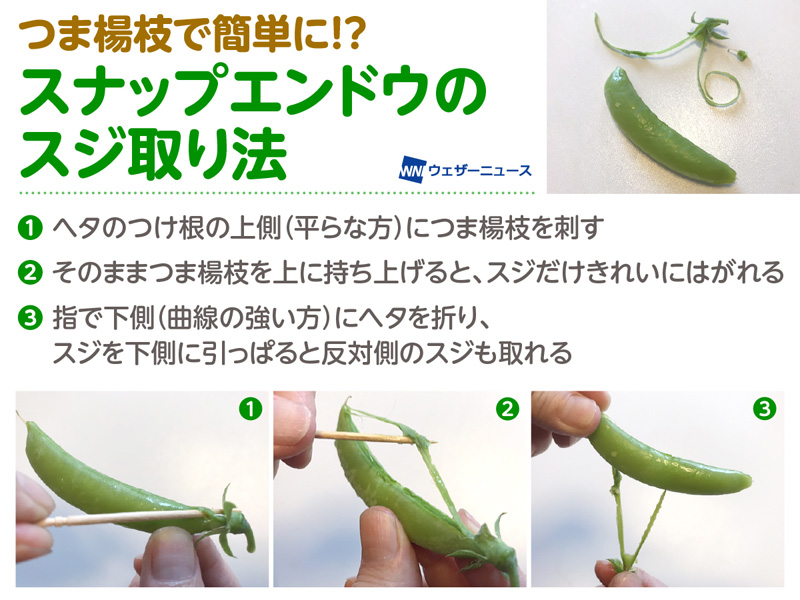 スナップエンドウの簡単にできるスジ取り法 ウェザーニュース