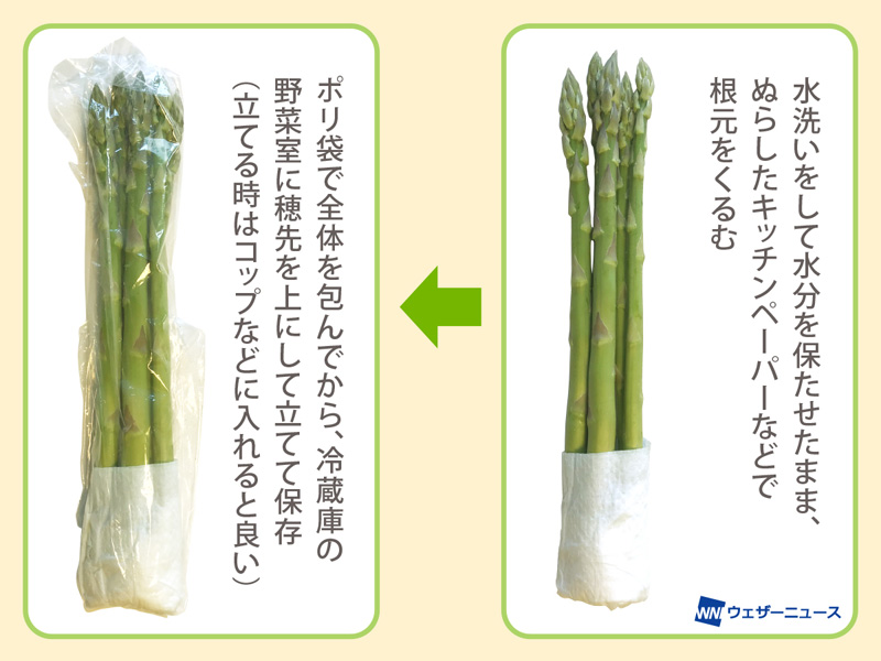 アスパラは常温保存ng 鮮度を保つ保存方法とは ウェザーニュース