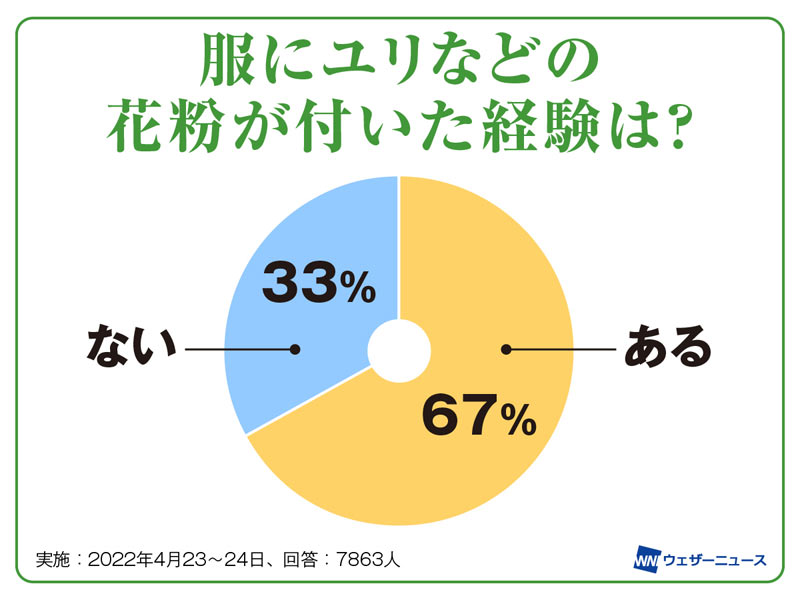 服に付いたユリなどの花粉の染み抜き方法 ウェザーニュース