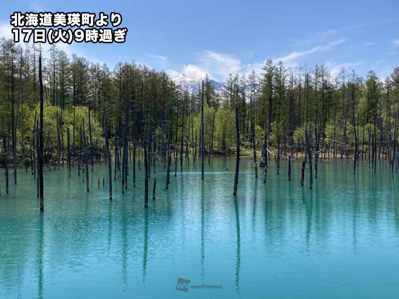 北海道は連日の晴天 青空に映える 白金青い池 の姿も ウェザーニュース