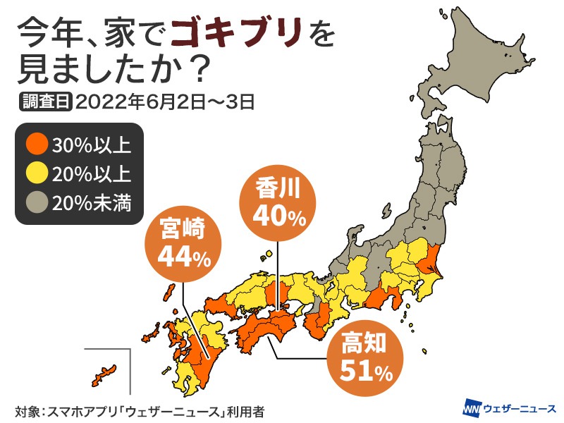 ゴキブリの効果的な駆除 毒餌剤を置く場所と数がポイント ウェザーニュース