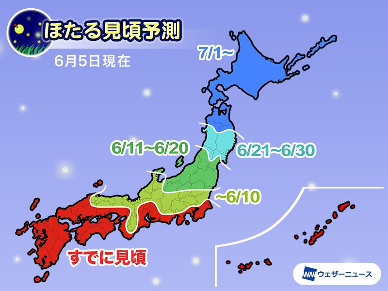 梅雨の季節にホタルが乱舞 関東全域でまもなく見頃に - ウェザーニュース