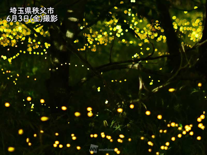 梅雨の季節にホタルが乱舞 関東全域でまもなく見頃に - ウェザー