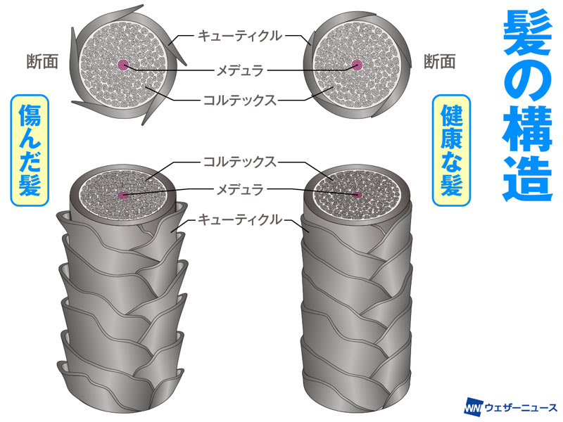 雨の日の髪は洗い方と乾かし方で変わる ウェザーニュース