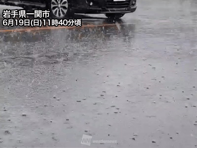 雨 C.ZONE（クロスゾーン）全天候型レインウェア【上下セット】【防水