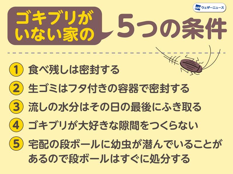 ゴキブリが活発になる季節 遭遇しない家の5つの条件とは ウェザーニュース